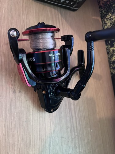 Spinning reel - spinning,