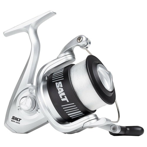 Shakespeare salt spin - shakespeare, reel