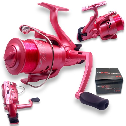 Ngt max pink free - max, runner